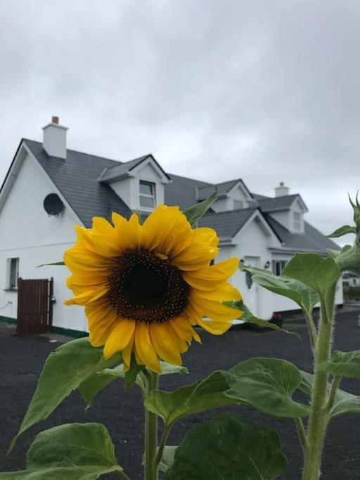 Curlews Rest - Gateway To The Aran Islands Apartment Galway Bagian luar foto