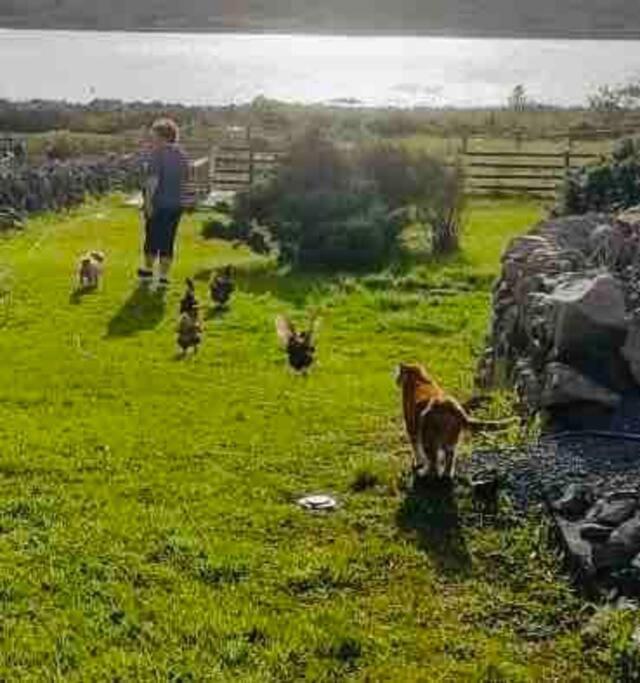 Curlews Rest - Gateway To The Aran Islands Apartment Galway Bagian luar foto